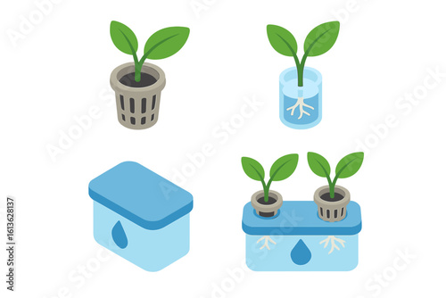 Hydroponics icon set. Isometric vector of soilless cultivation. Plant with roots in net pot, nutrient solution reservoir. Deep water culture system for urban farming.