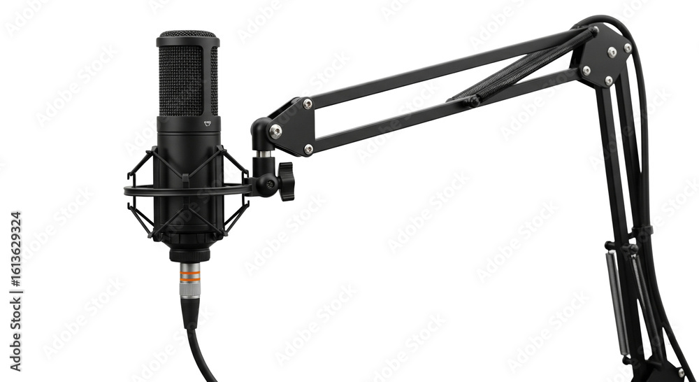 Fototapeta premium Black condenser microphone with shock mount and adjustable boom arm isolated on transparent background