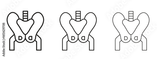 Pelvis icon symbol line. Editable stroke width