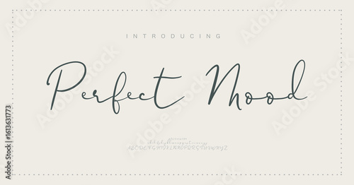 Signature Elegant Branding Typeface. Handwritten Script Editable Text Effect Template . vector illustration 
