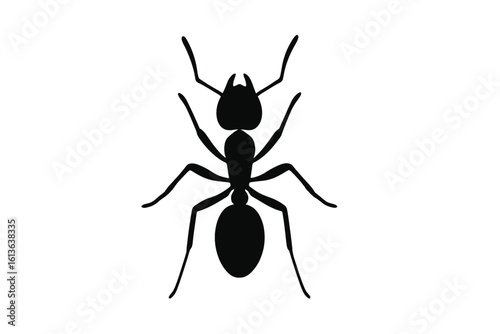 Simple ant silhouette from top view. Minimalist insect icon for a logo or symbol. Black worker ant graphic illustration, isolated vector element on white background.