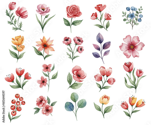 Vector collection of floral elements, featuring various blossoms and foliage ...