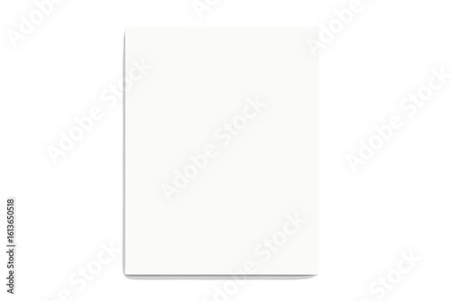 A4 paper mockup for portfolio or brand identity presentation. Realistic blank document template. Vertical white sheet, letter, flyer, or poster with soft shadow. Isolated.