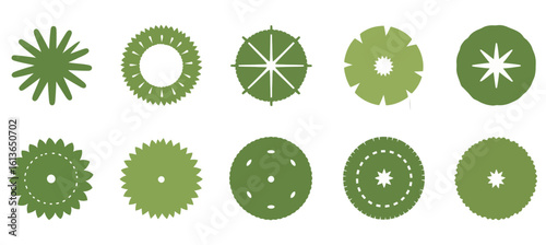 Vector art of overhead view of various tree designs isolated on white background