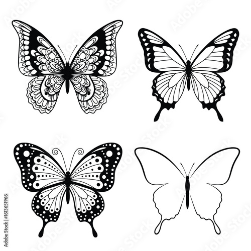 Ornate butterfly designs insect wing