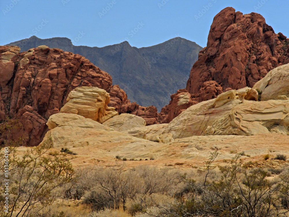 Fototapeta premium The different colours of the Valley of Fire, State Park, in Nevada, USA.