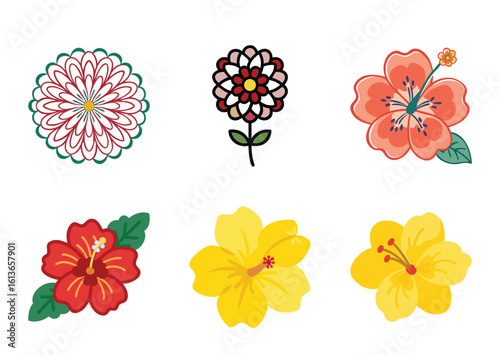 Variety of colorful floral designs isolated on a white background illustration