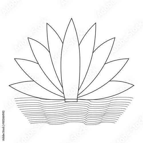 Black and White Water Lily Graphic - Minimal Botanical Symbol