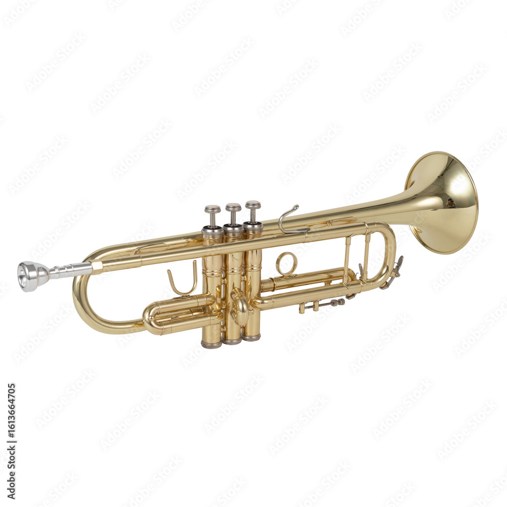 Obraz premium old brass trumpet