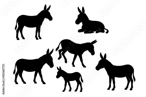 Donkey silhouettes set in multiple poses standing walking running kicking lying farm animal clipart, black mule outlines for children picture book, rural livestock icon bundle, vector illustration