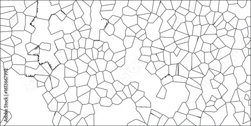 Abstract black and white cellular pattern resembling a map of territories and divisions ideal for designs and backgrounds