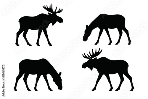 Majestic moose silhouette vector set – standing bull with broad antlers, grazing cow profiles, walking wildlife icons, black outline shapes, side view forest animal design for outdoor branding