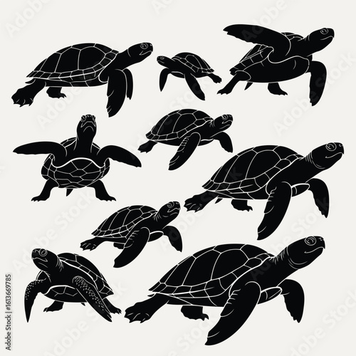 Black sea turtles swimming across a pale background