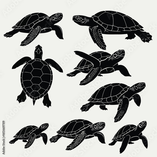 Black sea turtles swimming white illustration