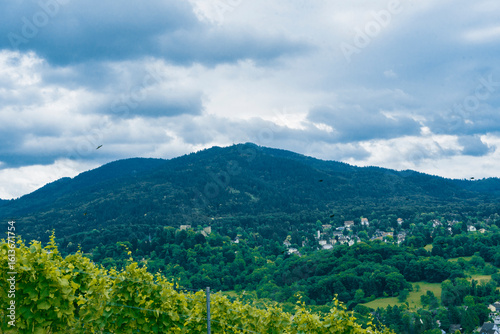 summer landscape with mountains and blue sky