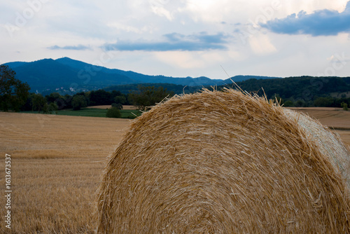 bales of straw