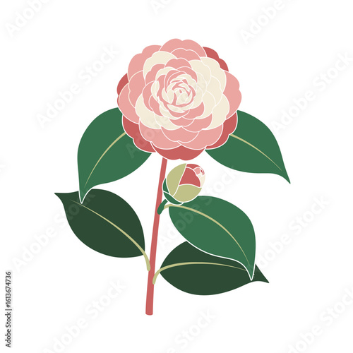 Artistic illustration of a camellia flower. Featuring stylized leaves, bud, and flower head. Great for design backgrounds.
