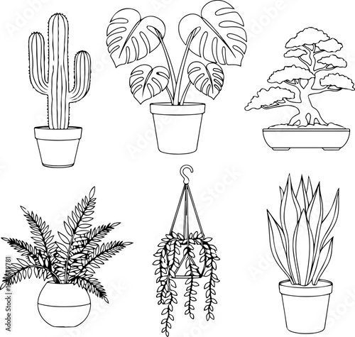 Collection of hand drawn line art illustrations of various potted houseplants in a clean white background
