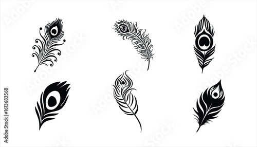 peacock feather vector set on white background, peacock feather silhouette vector icon set.