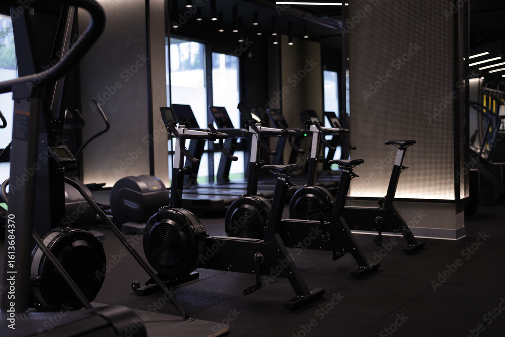 Obraz premium Many modern professional bicycle machines in gym