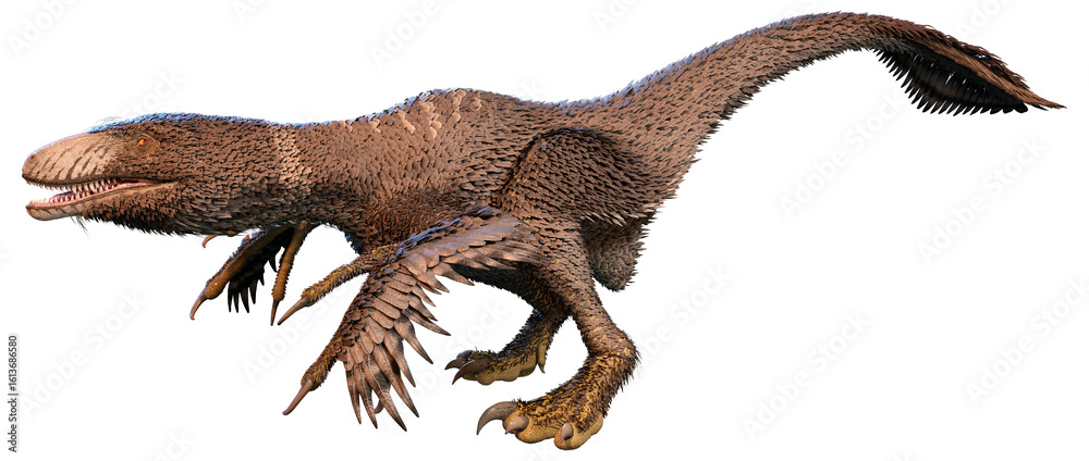Fototapeta premium 3D Rendering Dinosur Dakotaraptor on White
