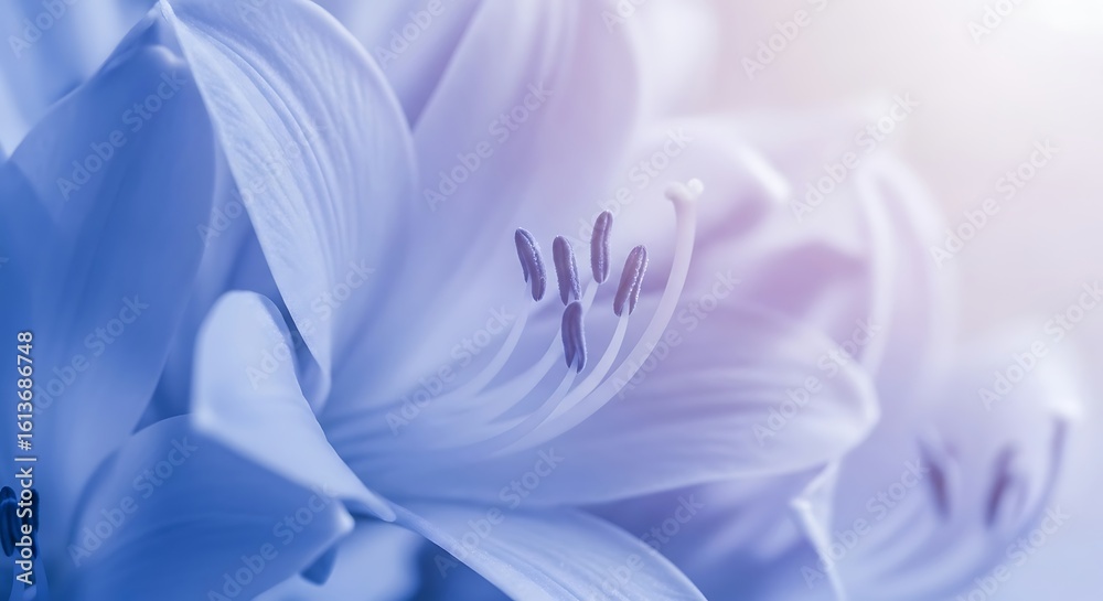 Fototapeta premium Close-up view of a delicate, pastel-colored lily flower blooming with soft petals.