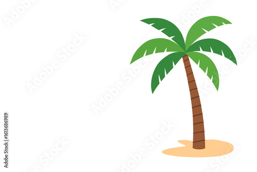 palm tree isolated on white