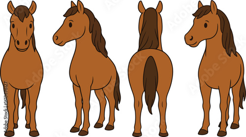 Cartoon Horse Character Poses, horse all poses