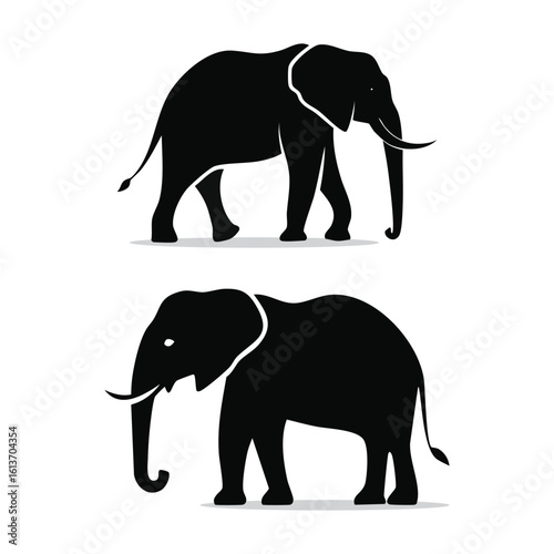 Two Majestic African Elephants Silhouetted Against a White Background