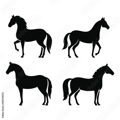 Four Silhouette Horses Standing Still and Moving Gracefully