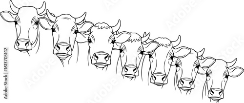 Illustration funny cow heads in line style. Design element for poster, card, banner, sign. Vector illustration
