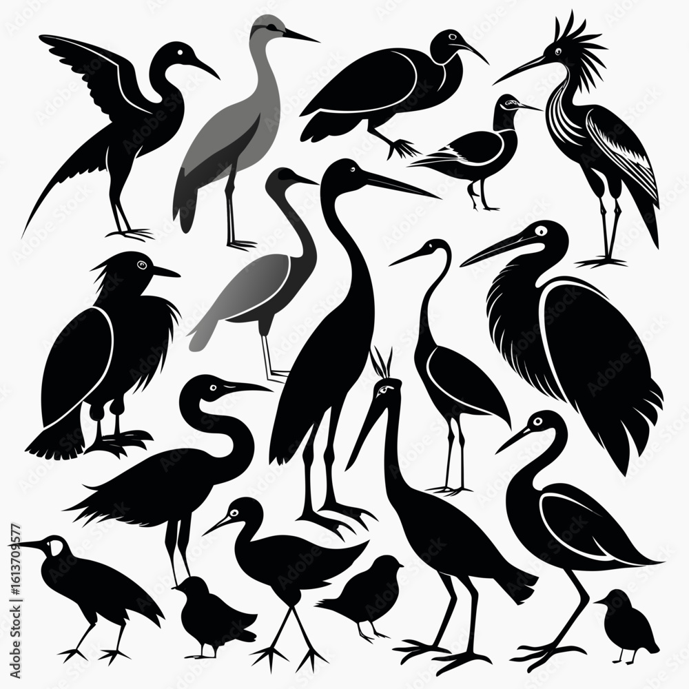 Obraz premium collection of birds