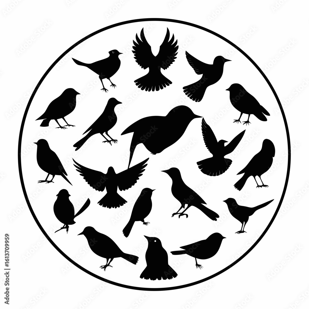 Fototapeta premium bird silhouettes 