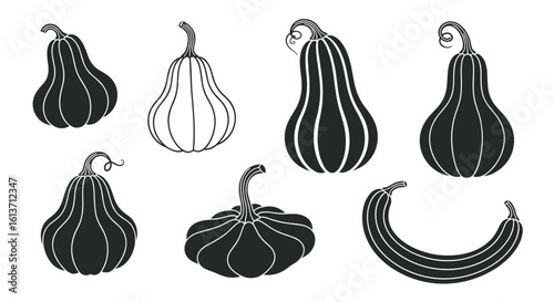 A collection of assorted gourd varieties showcasing diverse shapes textures and autumnal harvest elements