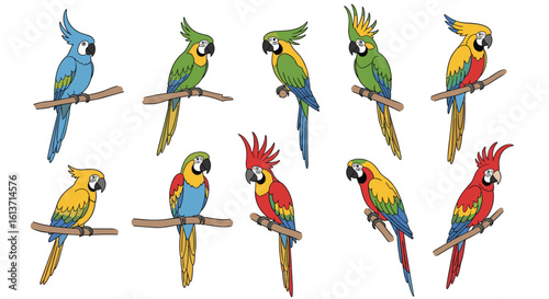 Colorful tropical birds perched on branches a collection of exotic avian species