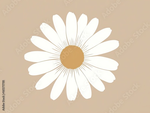 Simple white daisy on beige background (2)
