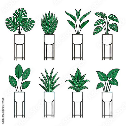 Eight green houseplants in modern planters indoor plants