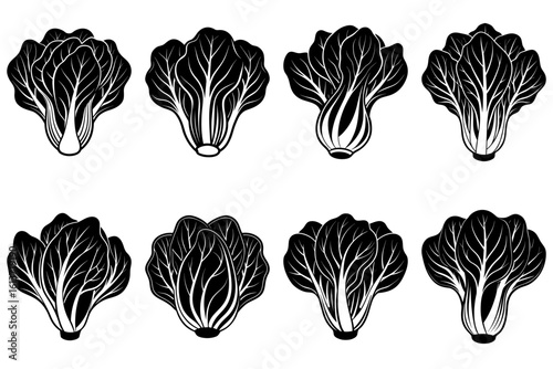 Eight bok choy vegetables arranged in two rows in a black and white vector illustration style image