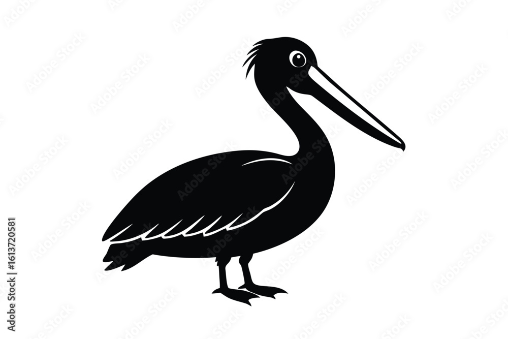Fototapeta premium Stiff Pelican Refusing to Open Its Beak Detailed Vector Illustration