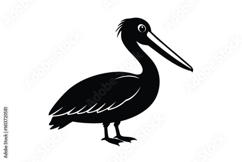 Stiff Pelican Refusing to Open Its Beak Detailed Vector Illustration