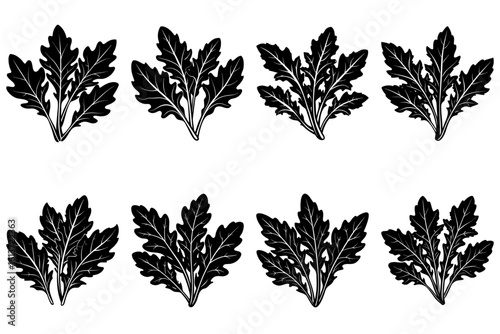 Eight black arugula bunches arranged in two rows on a white background in a vector illustration