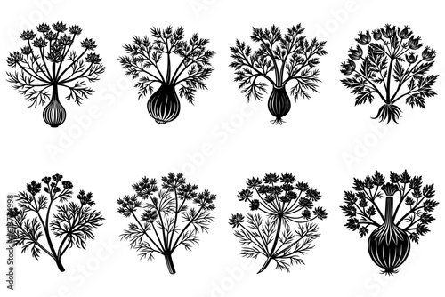 Botanical illustration featuring various plant species with detailed foliage and bulbous root structures