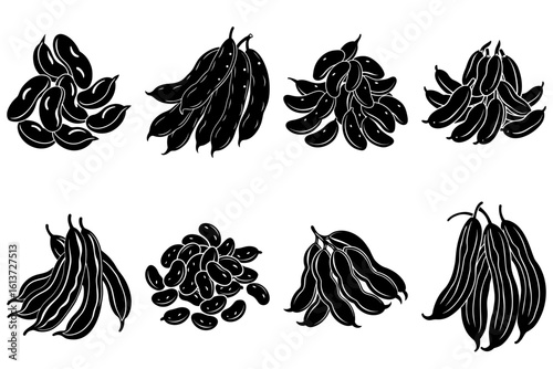 Illustration of eight groups of black and white broad beans and bean pods in various arrangements