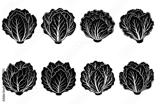 Illustration of eight black and white napa cabbage heads arranged in a symmetrical pattern on white backdrop