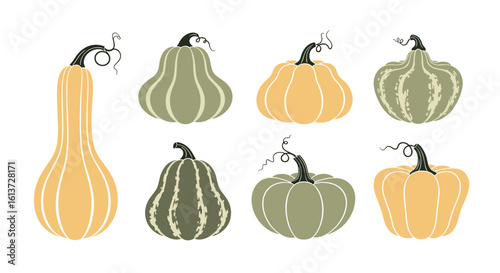 Collection of diverse winter squash varieties featuring autumnal colors and textures for seasonal decor and harvest celebrations