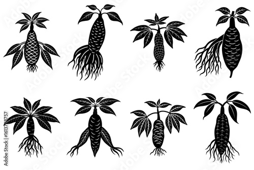 Illustration of eight cassava plants with roots leaves and textured tubers in black and white style art
