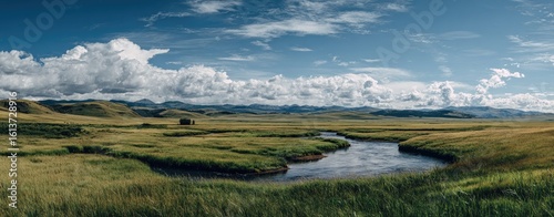 Open meadow with winding stream under a partly cloudy sky