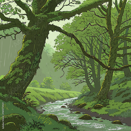 Enchanting rainy forest scene with lush moss covered trees and a clear sky evoking a sense of serene natural beauty and tranquility