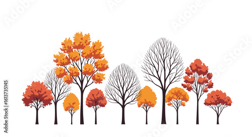 A beautiful array of autumn trees displaying vibrant colors and bare branches