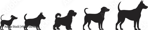 Dog breed growth silhouette, pet evolution silhouette, puppy to adult dog silhouette, animal silhouette vector, pet development stages, silhouette set art